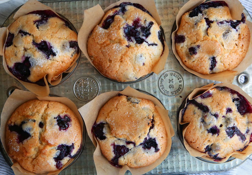 Nutri Blueberry Muffin