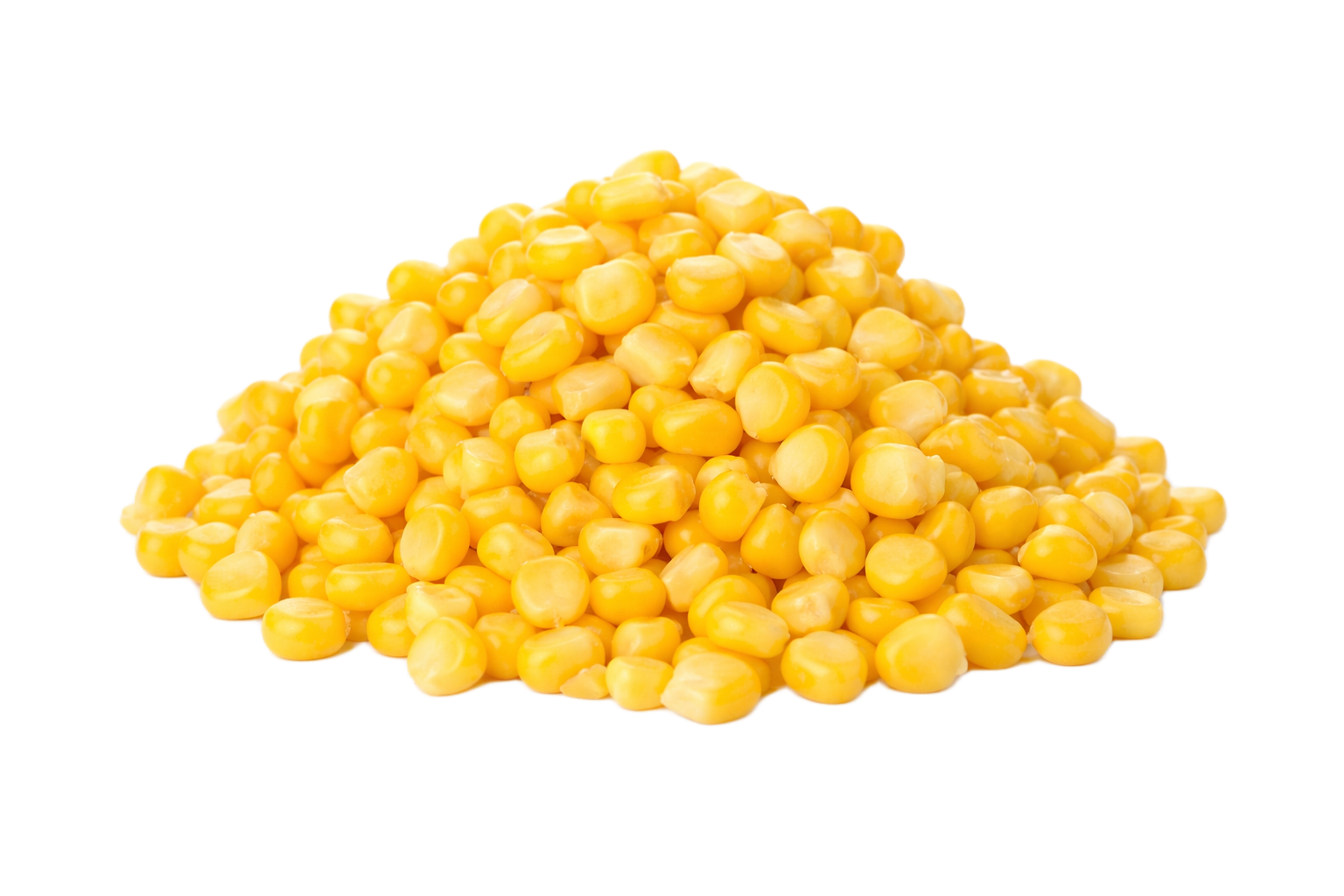 Maize